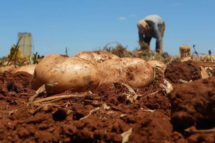Los ladrones han ampliado su campo de actuación. No solo roban todo tipo de material