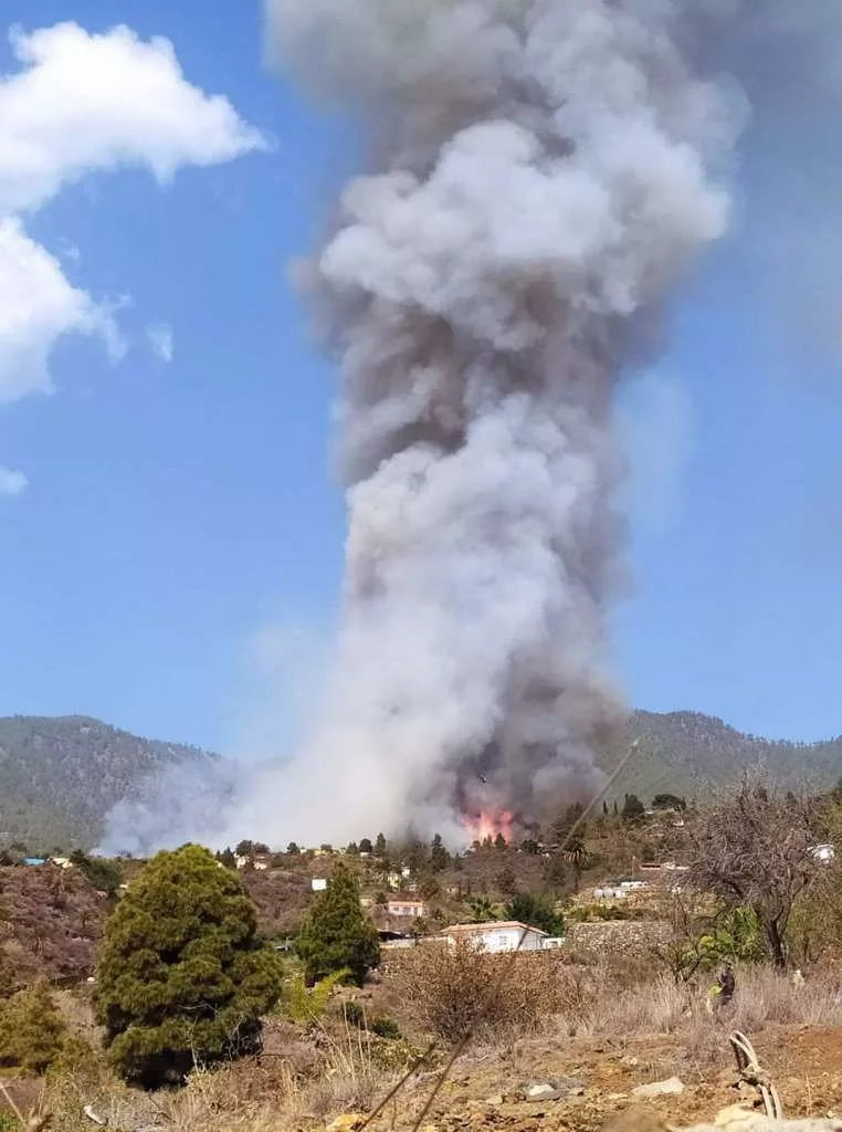 Durante la tarde nueve medios aéreos y 150 efectivos han tratado de atajar las llamas en El Jesús