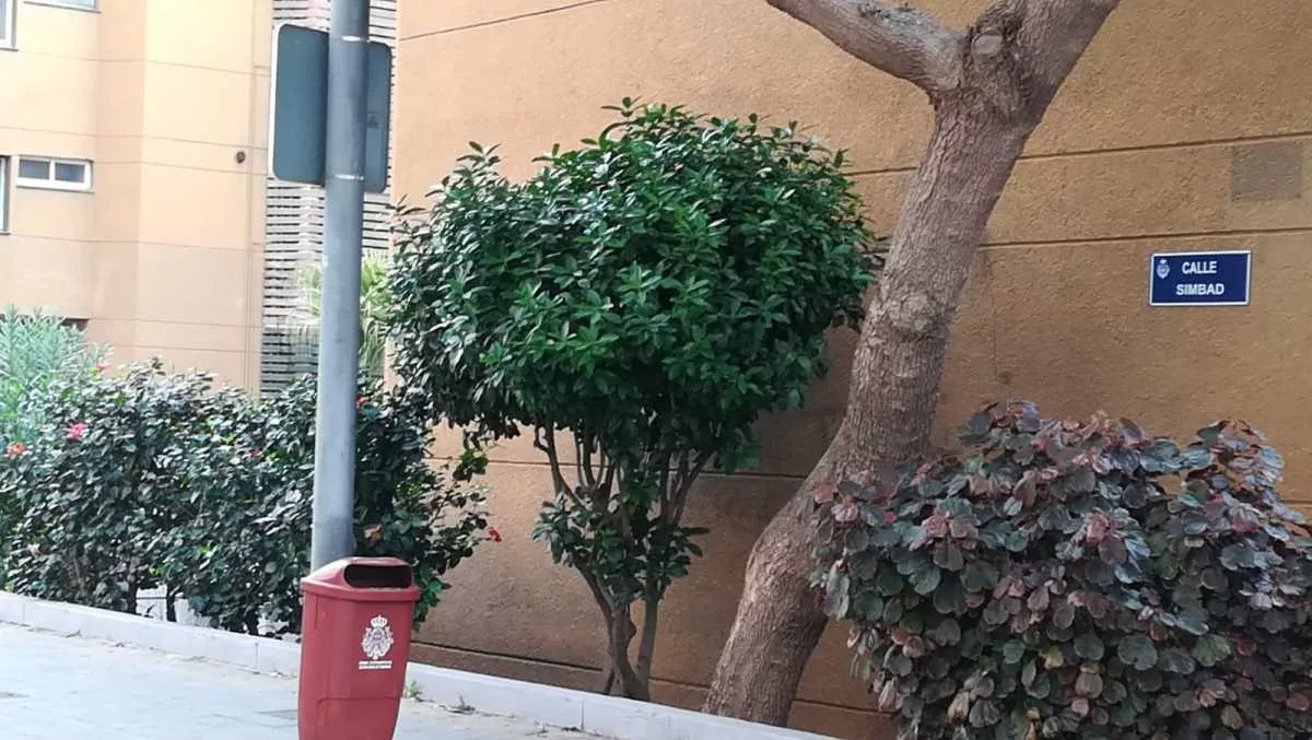 La juez le imputa un delito de homocidio o asesinato y otro de malos tratos habituales