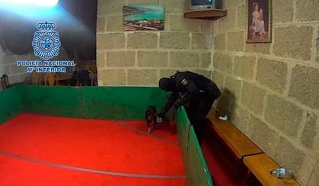 La trama mantenía ramificaciones en distintos puntos de la geografía española; la más importante en Canarias