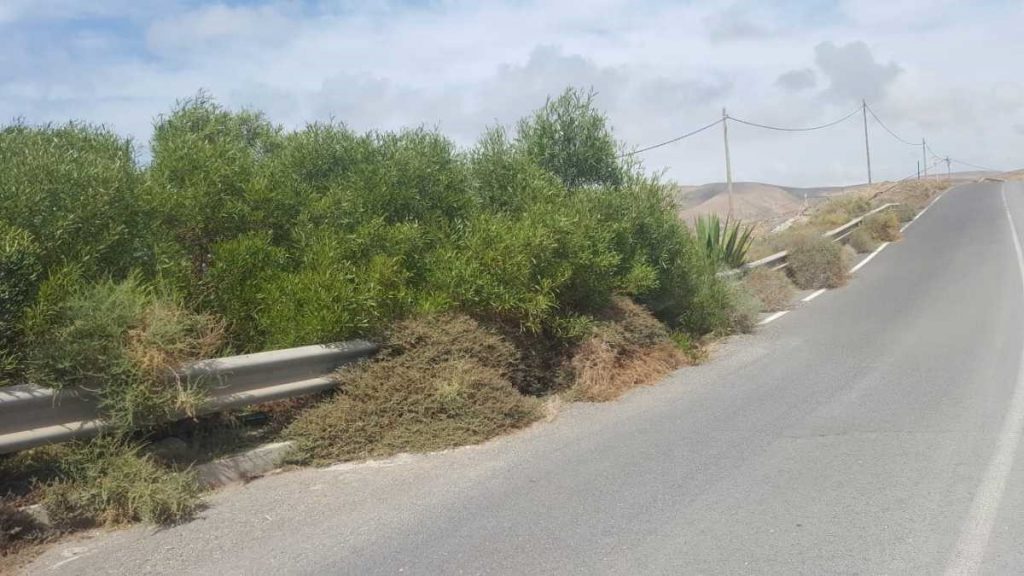CC en Betancuria advierte de la peligrosidad que puede desprenderse del mal estado de conservación y limpieza de las vías municipales