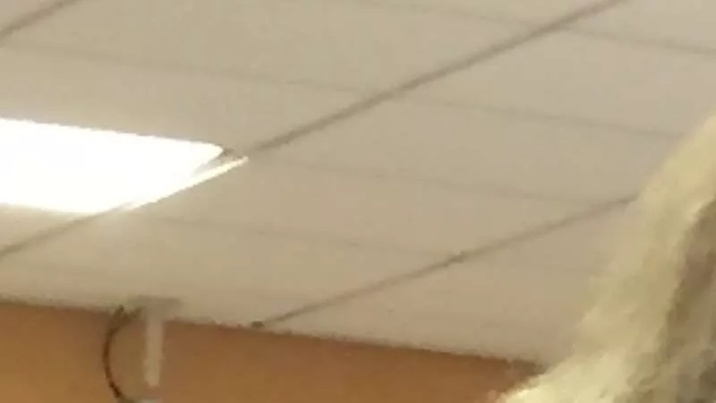 El exalcalde de Arona declara durante tres horas en la segunda sesión del juicio