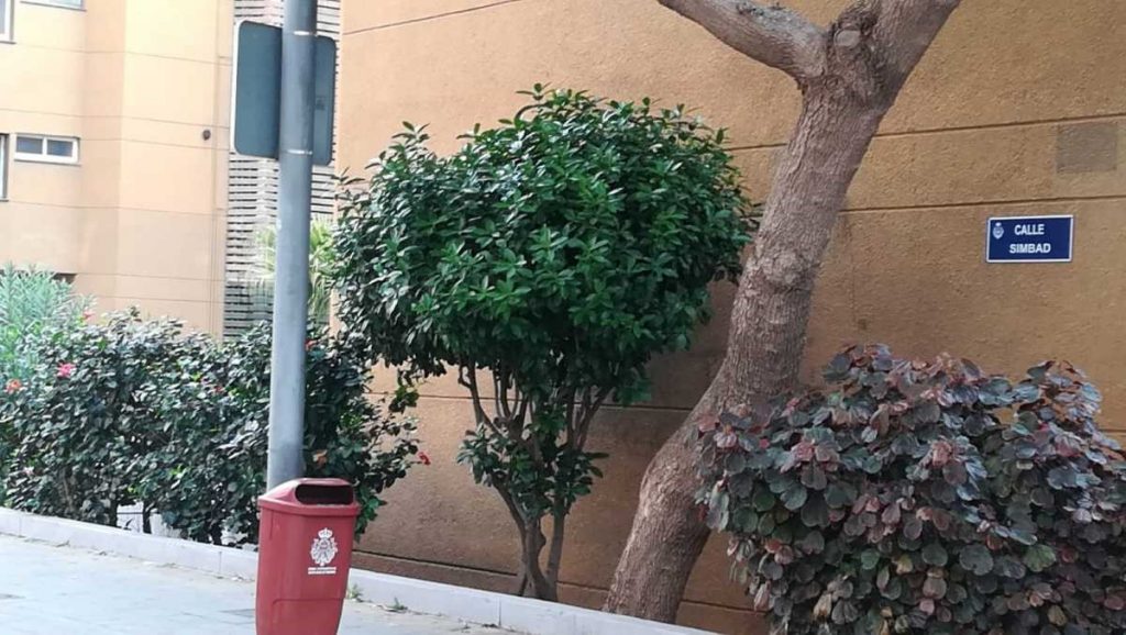 La Policía Nacional detiene al sobrino de una mujer como sospechoso de asesinarla a golpes en su vivienda de El Cigüeñal