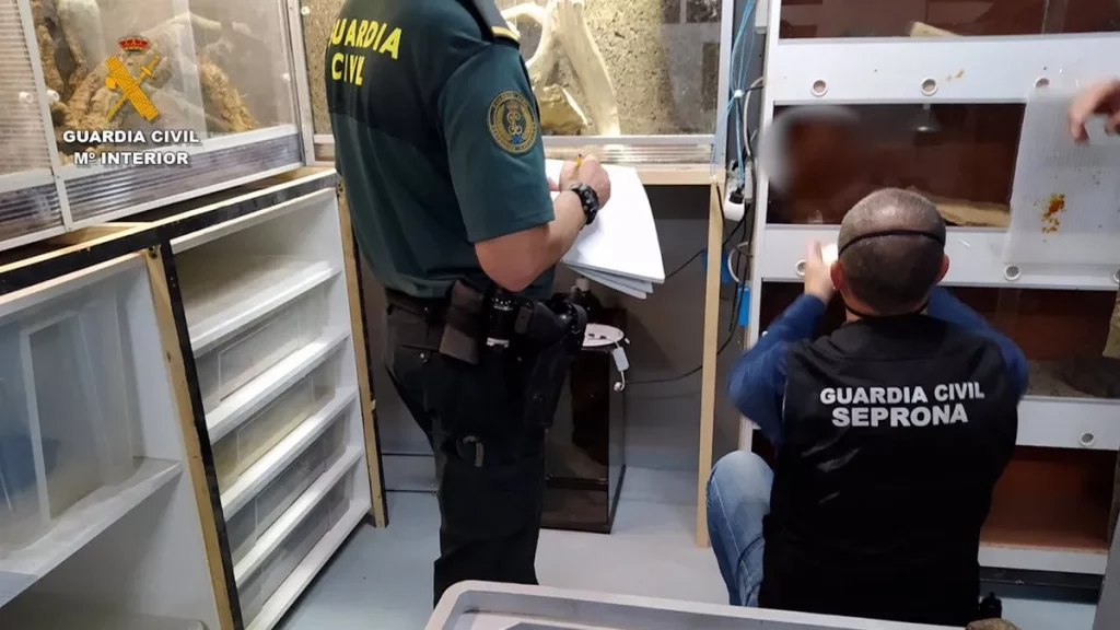 animales peligrosos en telde