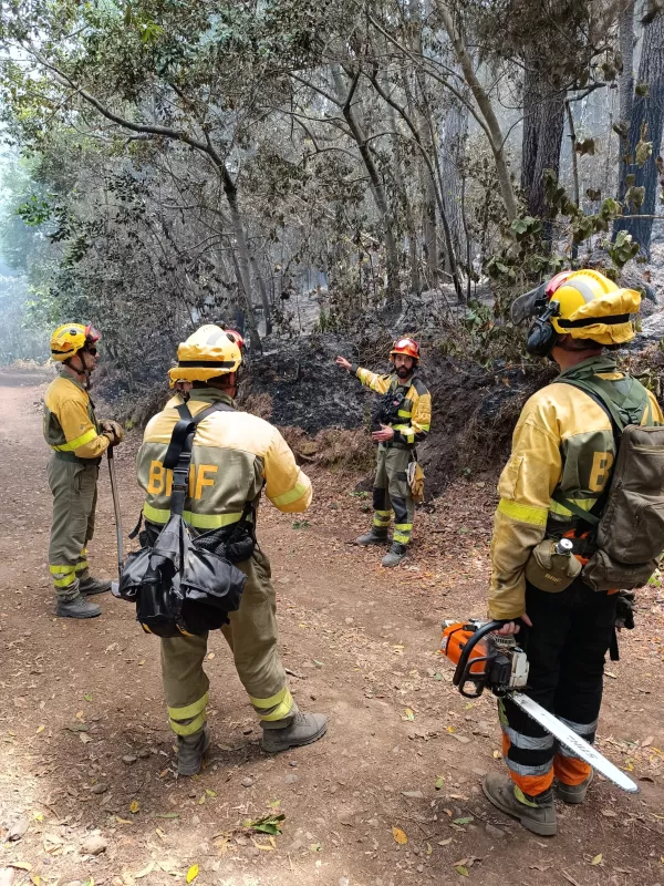 Brigadas forestales interviniendo para impedir que el fuego resurja.