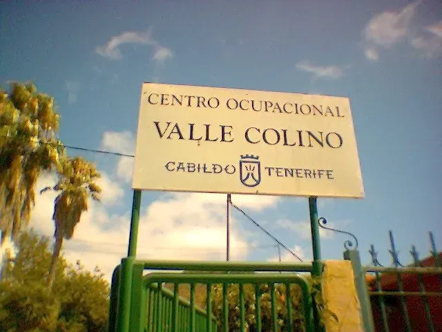 centro ocupacional valle colino