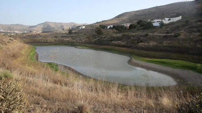 ESTADO DE ABANDONO DE LAS CHARCAS SAN LORENZO EN LAS PALMAS DE GRAN CANARIA
