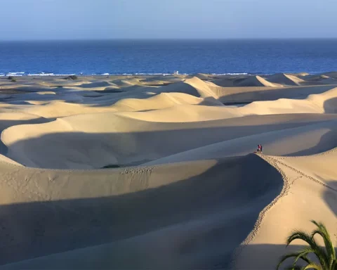 Dunas de maspalomas