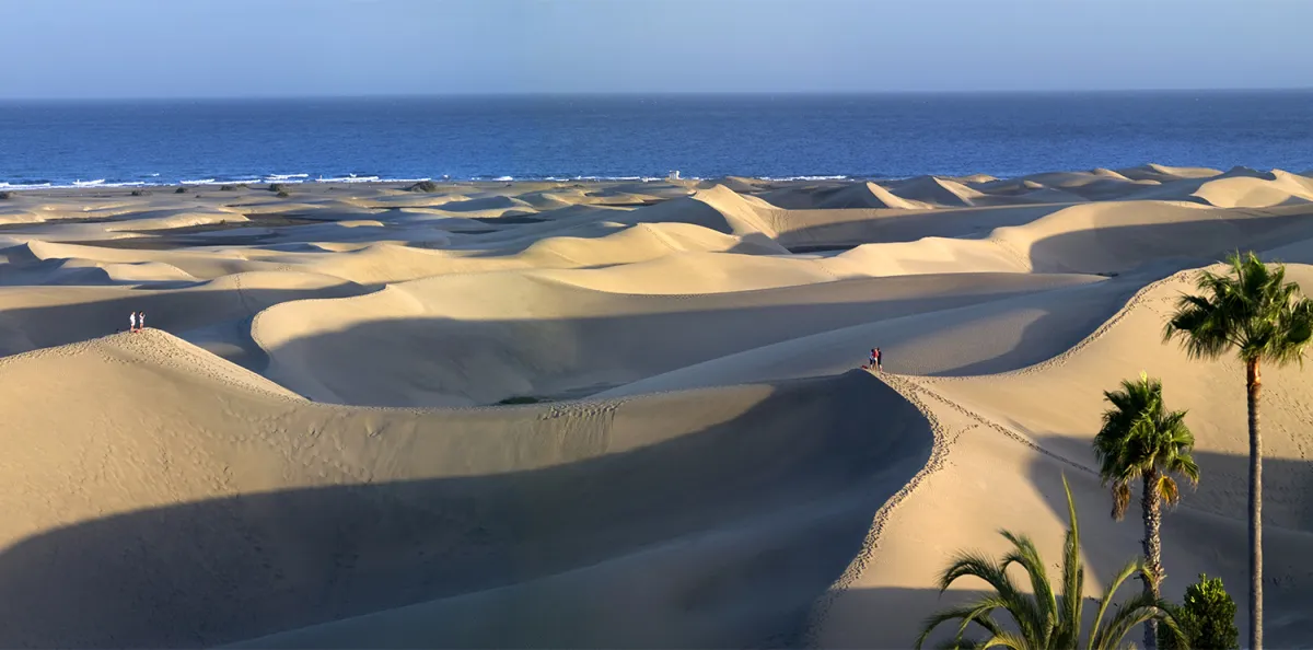 dunas de maspalomas