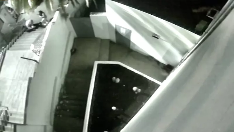 Imágenes de una cámara de seguridad que muestran la agresión.