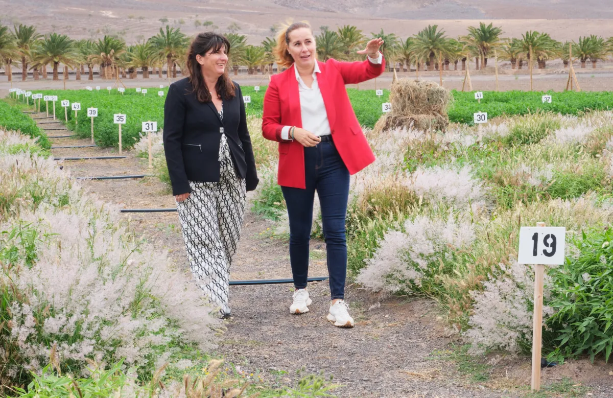 lola-garcia-presidenta-cabildo-fuerteventura-en-granja-experimental-de-pozo-negro