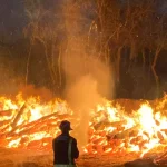 Un bombero frente a al fuego durante el incendio forestal de Tenerife en 2024.