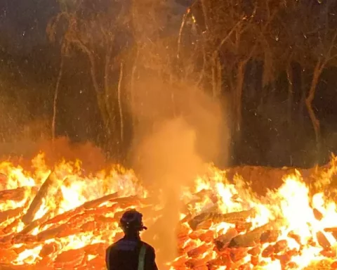 Un bombero frente a al fuego durante el incendio forestal de Tenerife en 2024.