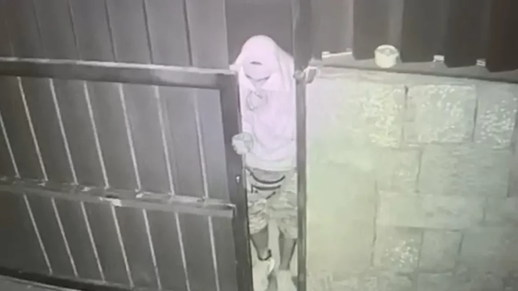 Una cámara capta a uno de los ladrones