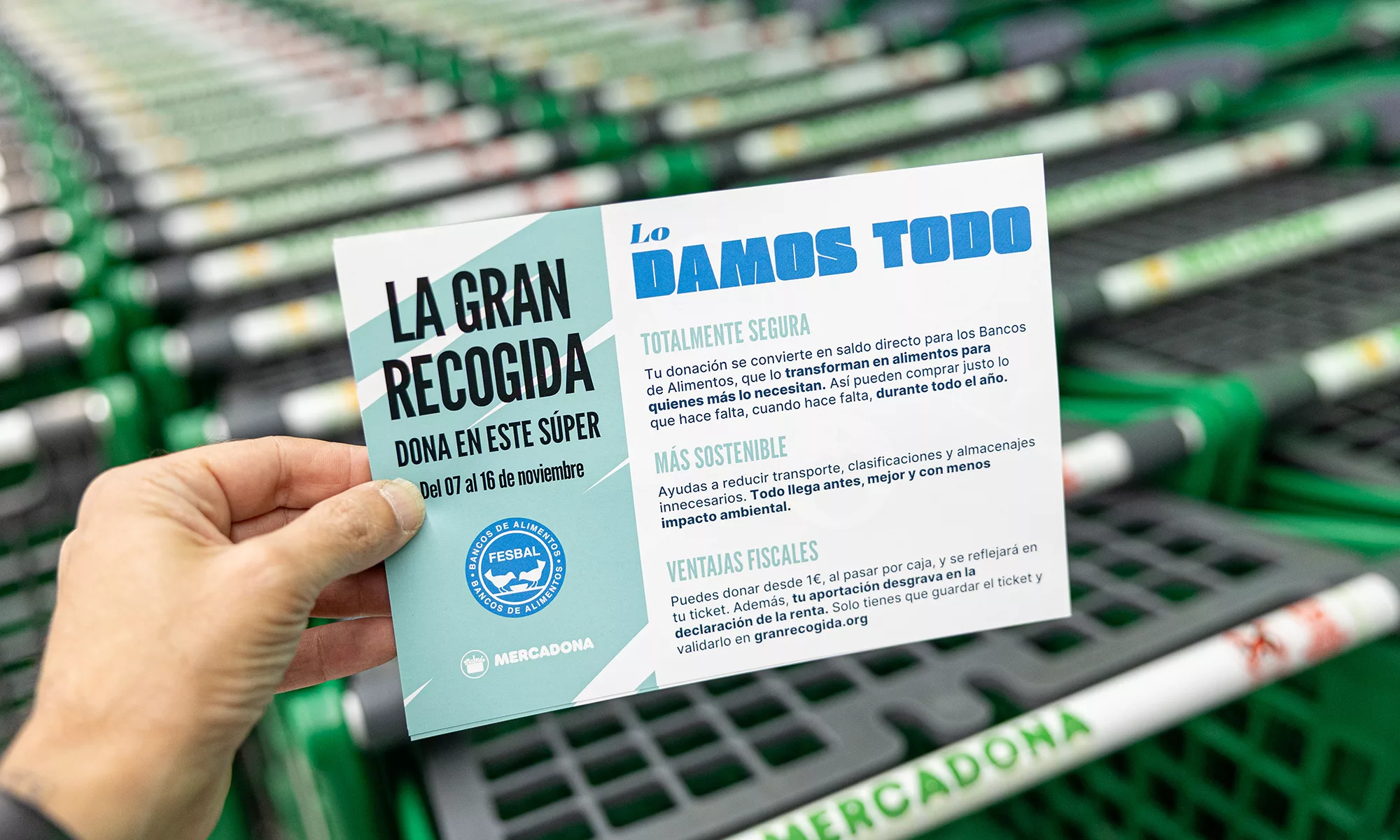 Gran Recogida de los Bancos de Alimentos