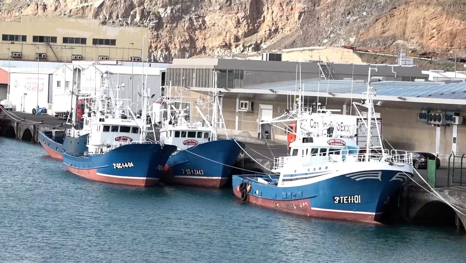 Atuneros cañeros en la Dársena Pesquera (S/C de Tenerife)