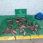 Tres varones pillados con 22 kg de pulpos y peces pescados ilegalmente en zona prohibida de Candelaria.