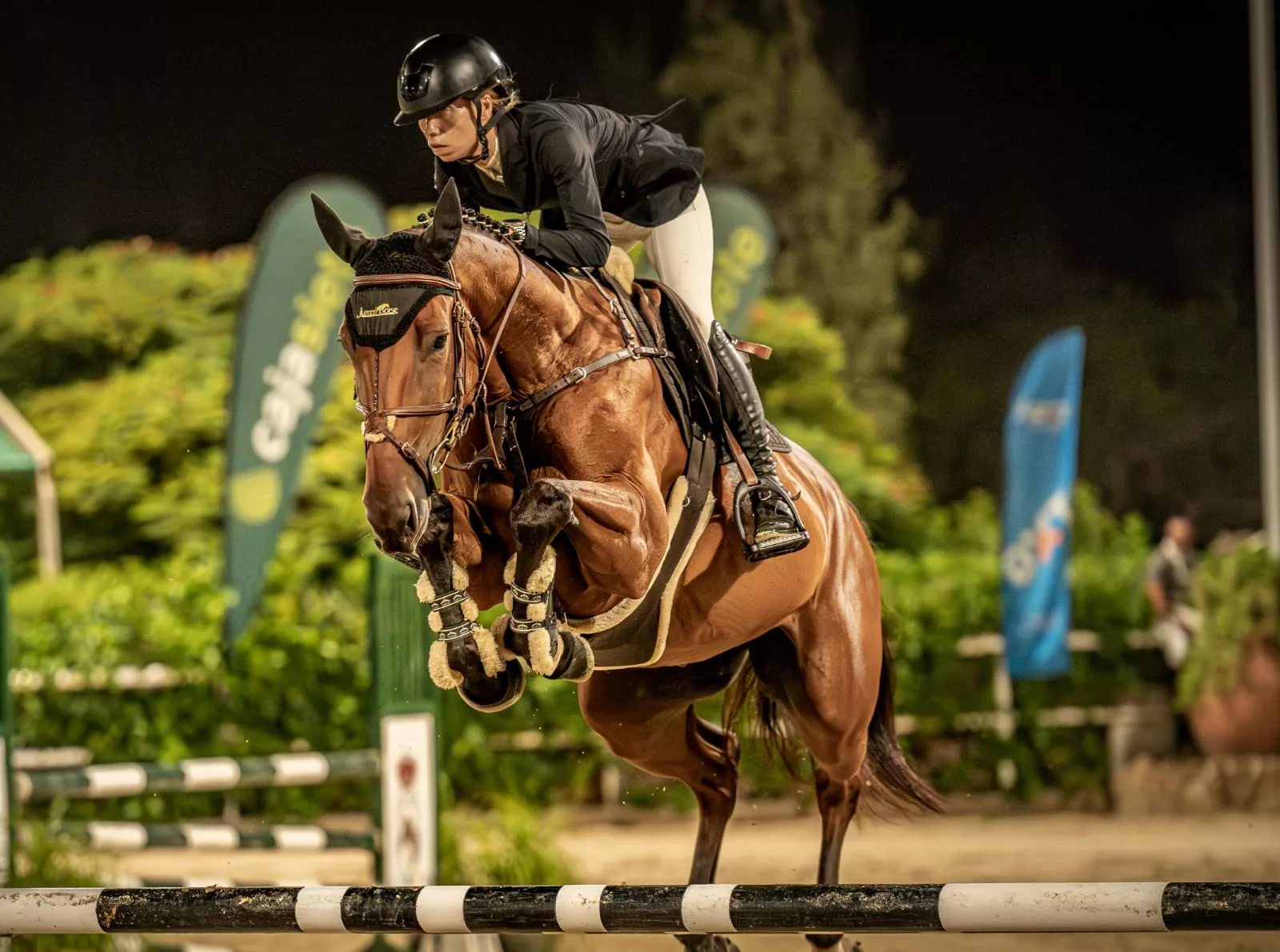 Arona se prepara para el segundo fin de semana del XXVII Concurso Nacional de Salto de categoría dos estrellas AronaPlaya de Las Américas