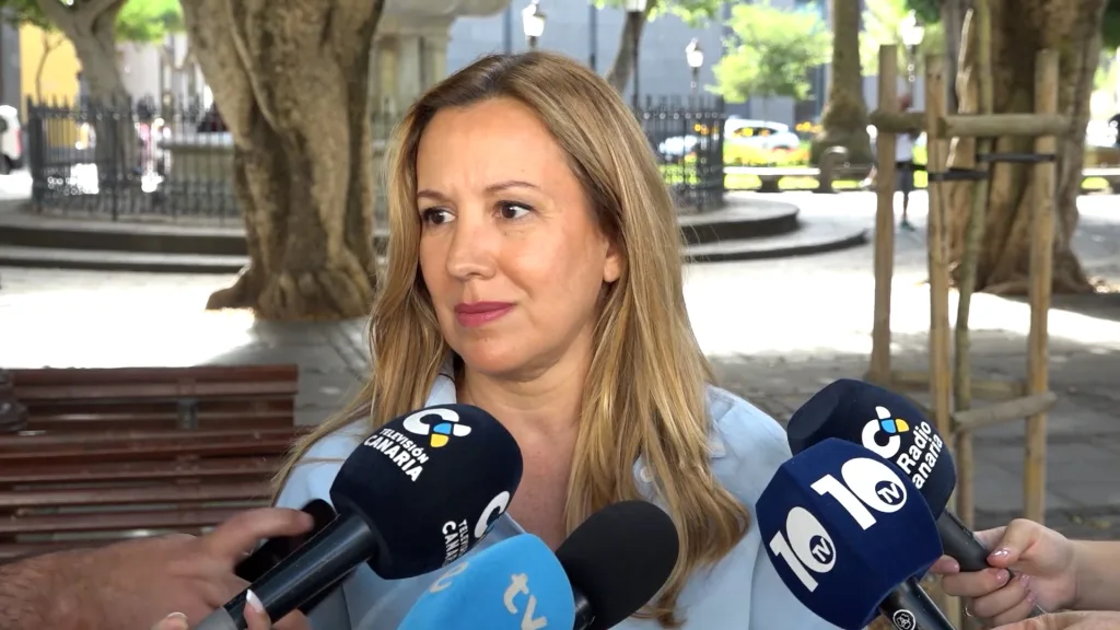 Rosa Dávila, presidenta del Cabildo de Tenerife.