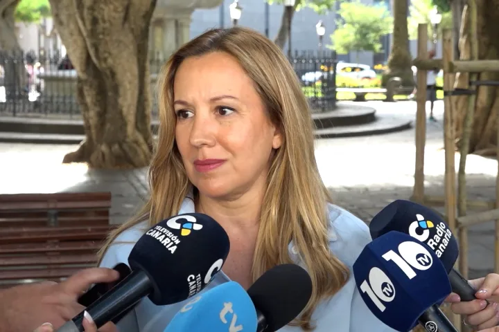 Rosa Dávila, presidenta del Cabildo de Tenerife.